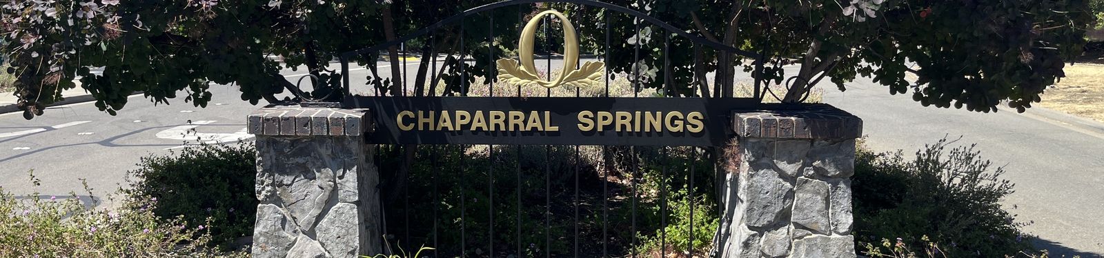 The Chaparral Springs entrance monument sign framed by stone pillars and smoke-bush trees.