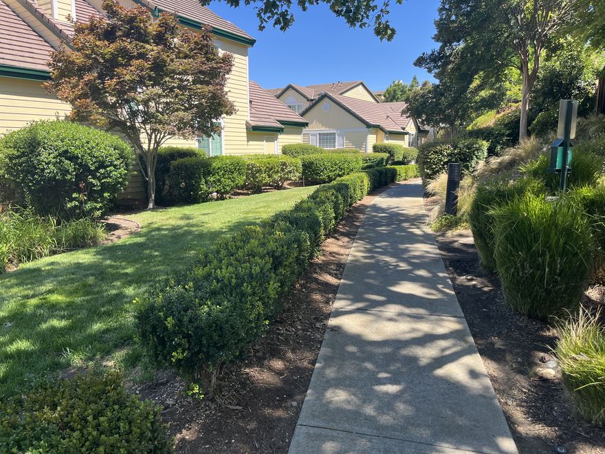 A hedge-lined walkway between townhomes in Chaparral Springs.
