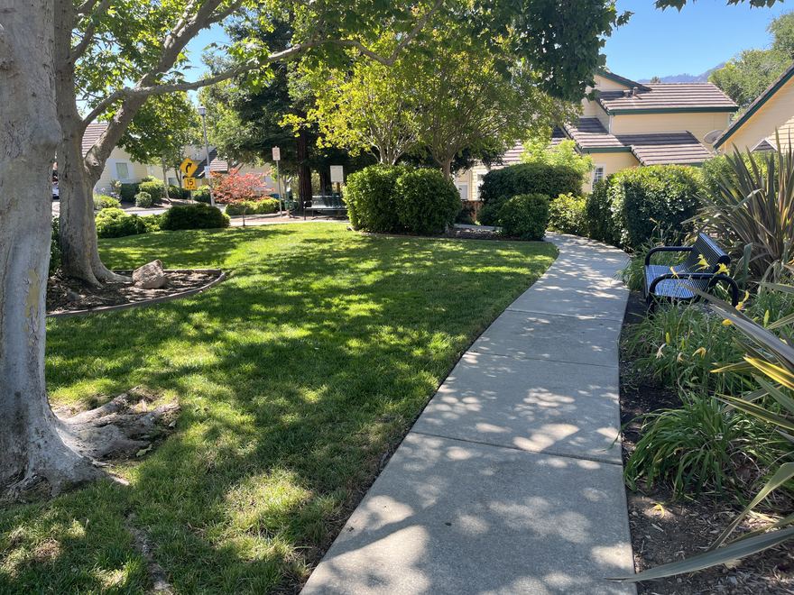 A shaded lawn courtyard with a bench in Chaparral Springs.