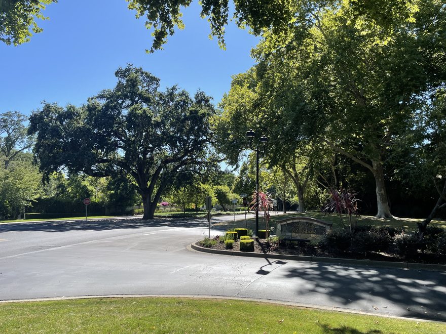 The tree-lined entrance road at Hidden Oaks at Blackhawk, with the monument sign set among mature oaks.