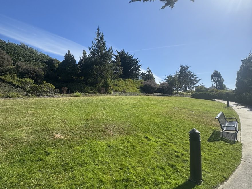 An open lawn with a bench and mature trees beside a walking path at Marisol.