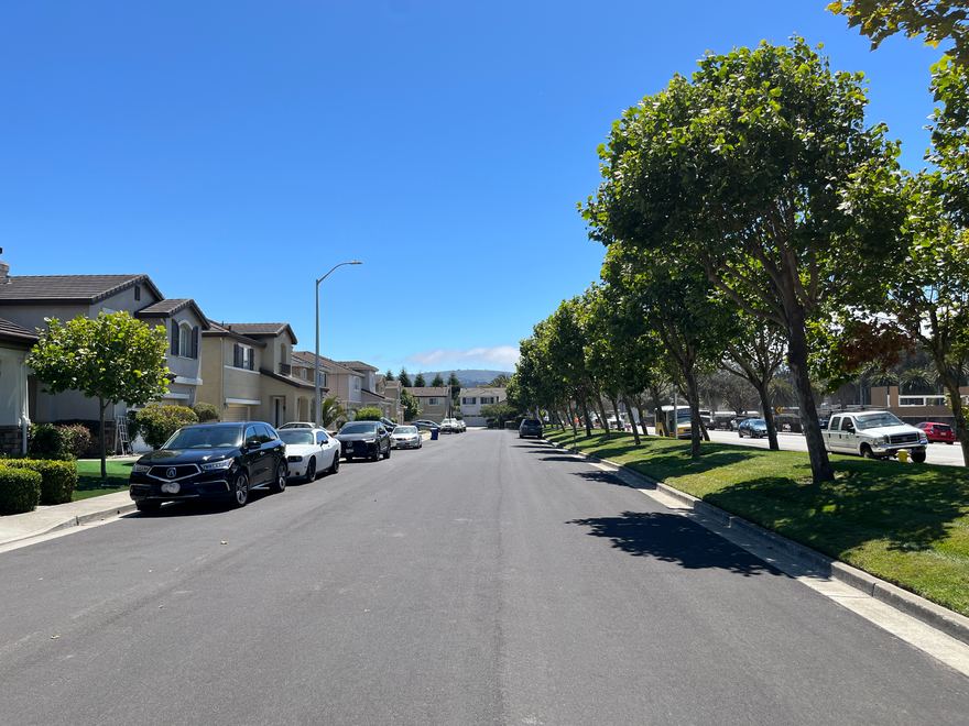 A tree-lined residential street in ParcPlace of South San Francisco.