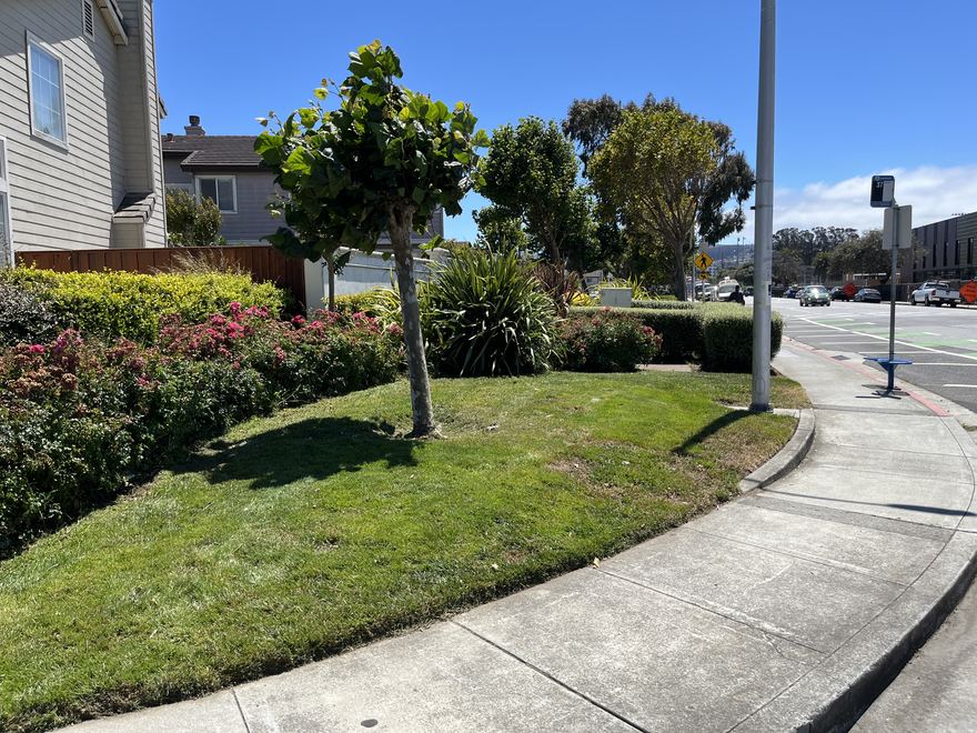A landscaped corner in ParcPlace with a flowering bed, lawn, and a young tree.